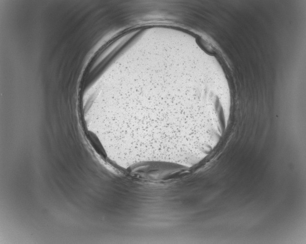 X0000079581333200612301357