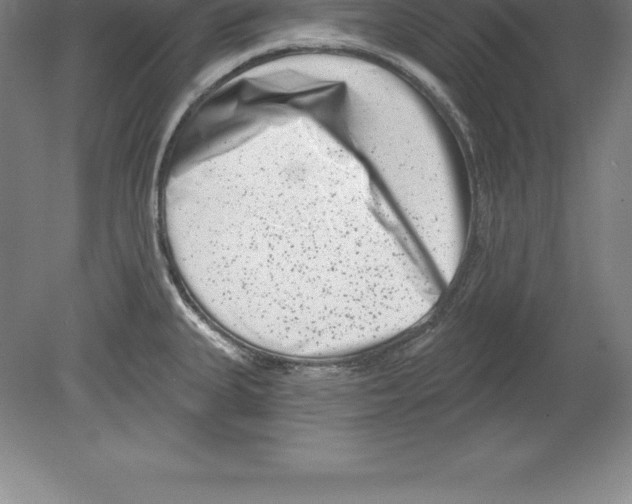 X0000079581335200612301357