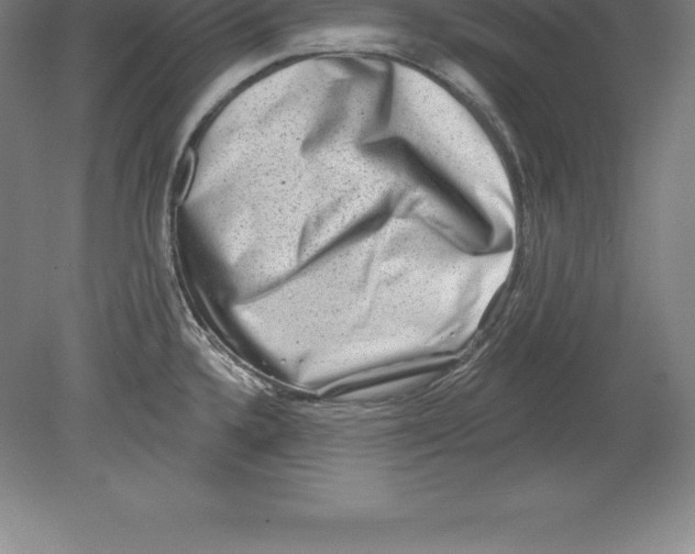 X0000079581336200612301357