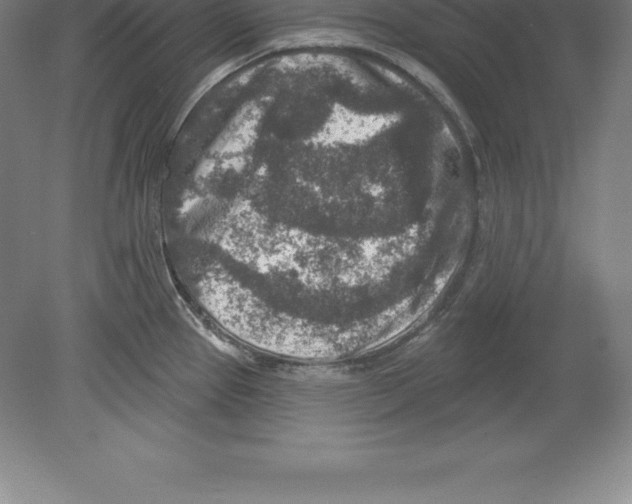 X0000079581337200612301357