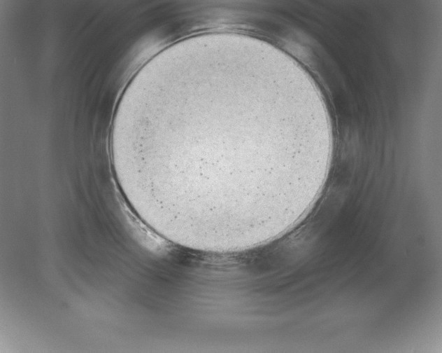 X0000079581338200612301357