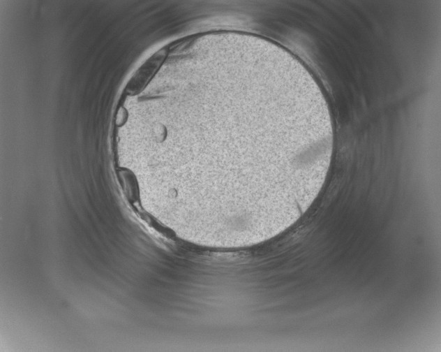 X0000079581339200612301357