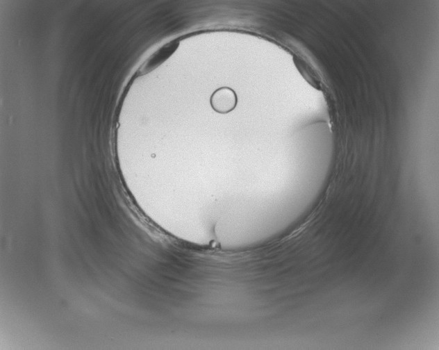 X0000079581340200612301357