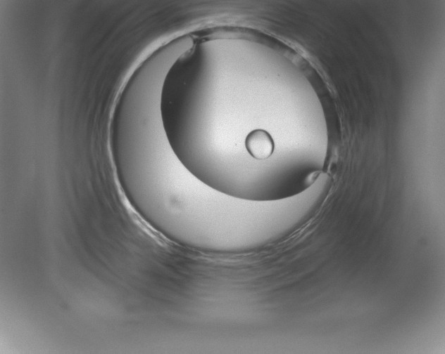 X0000079581342200612301357