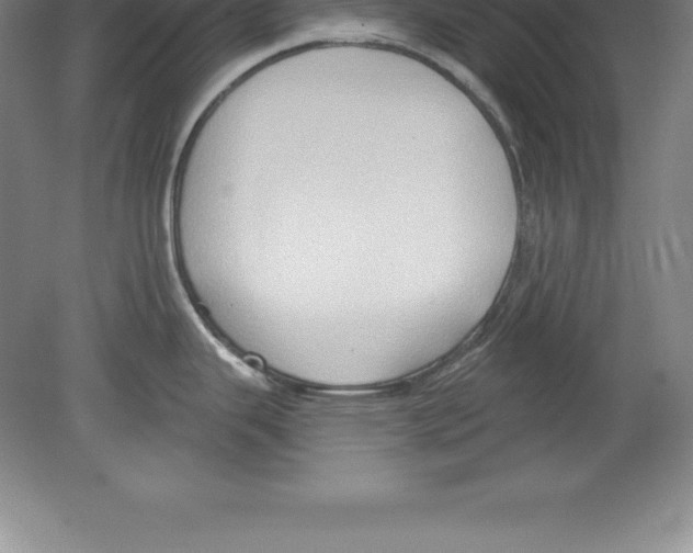 X0000079581343200612301357