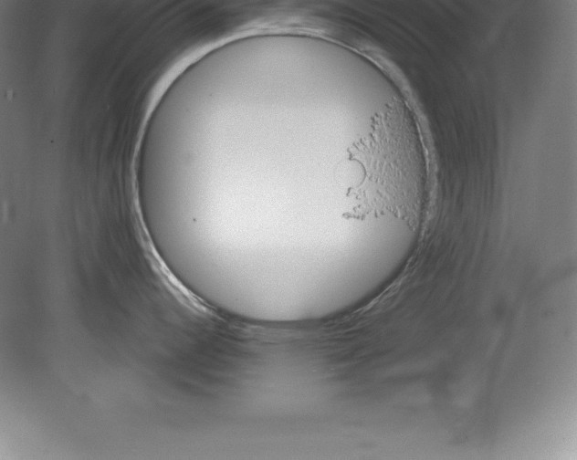 X0000079581344200612301357