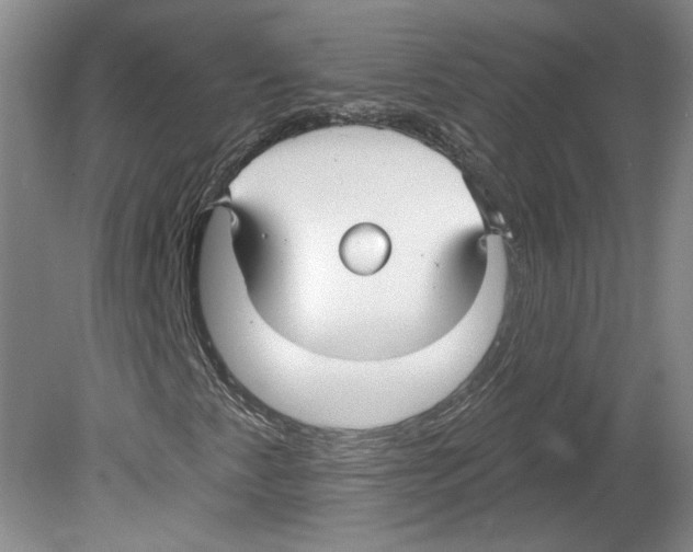 X0000079581345200612301356