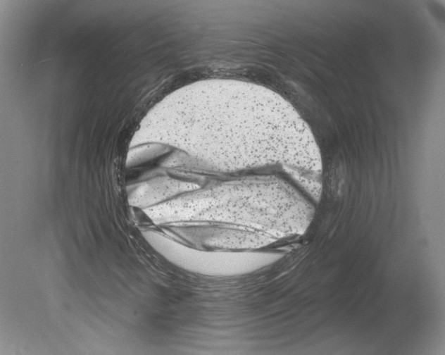 X0000079581346200612301356