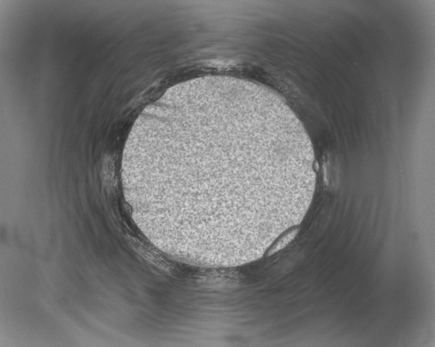 X0000079581347200612301356