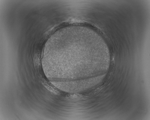 X0000079581348200612301356