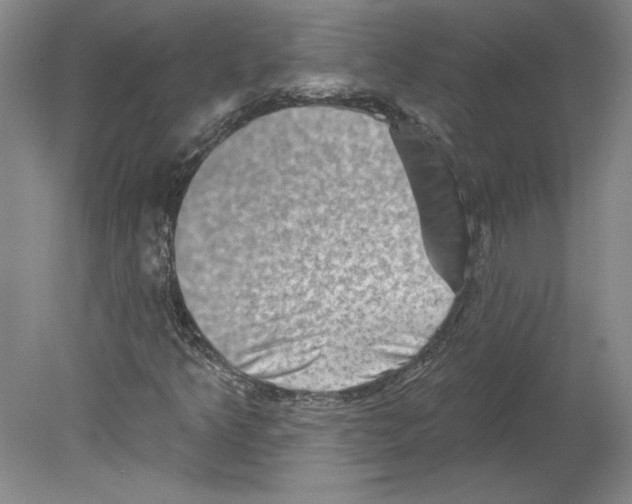 X0000079581349200612301356