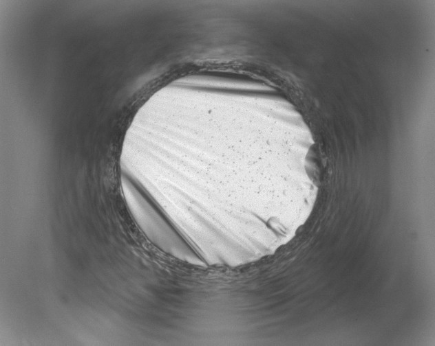 X0000079581350200612301356