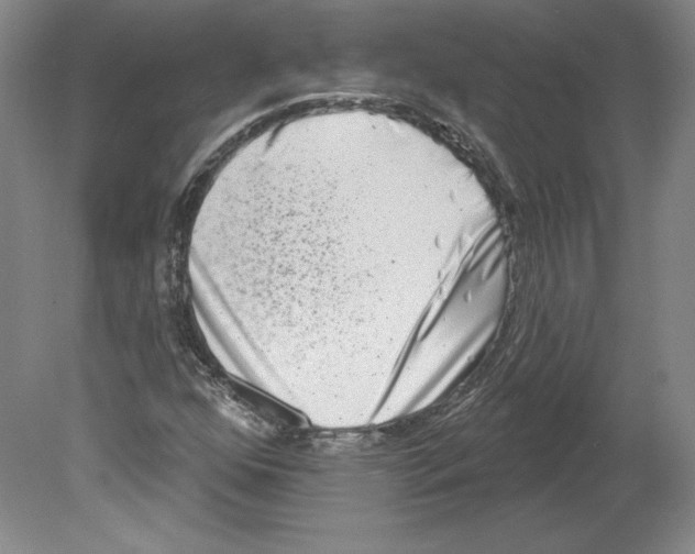 X0000079581352200612301356