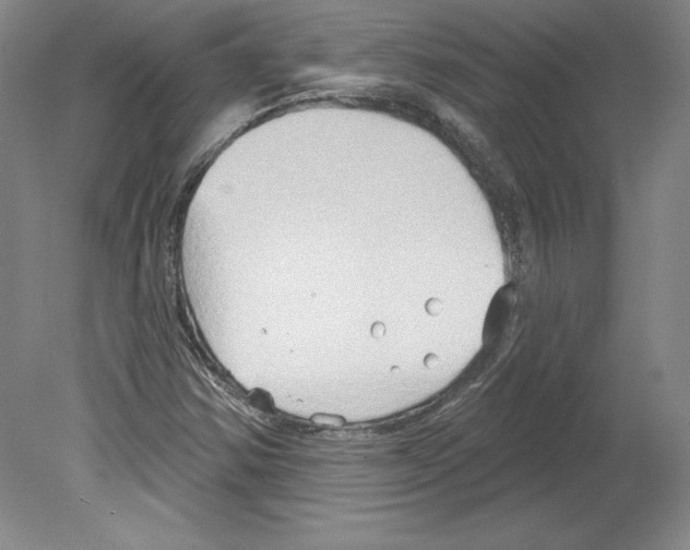 X0000079581354200612301356