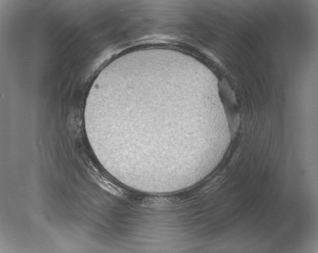 X0000079581355200612301356