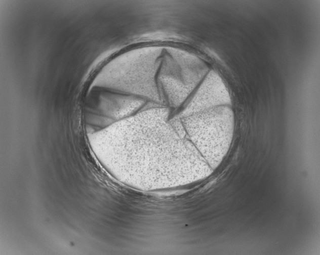 X0000079581358200612301356