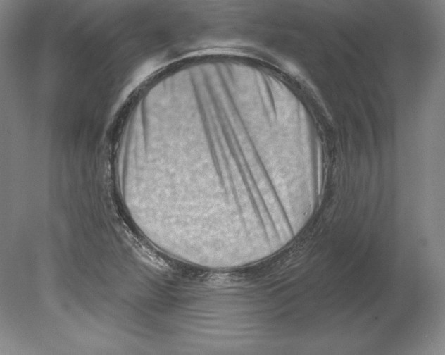 X0000079581360200612301356