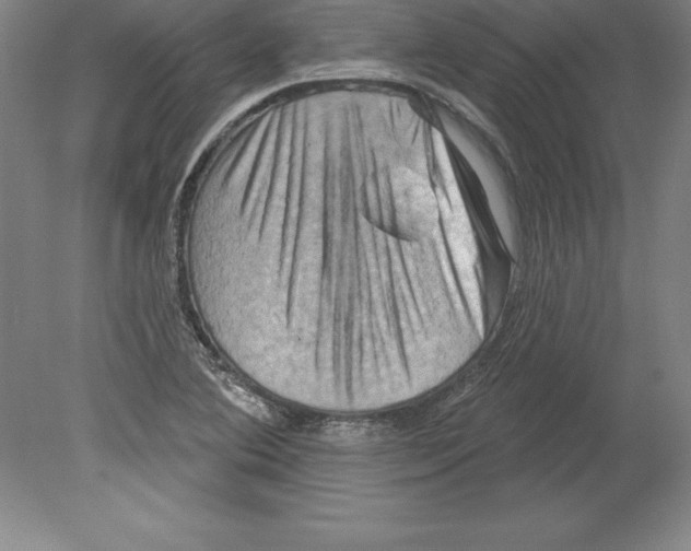 X0000079581364200612301356