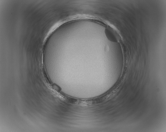 X0000079581365200612301356