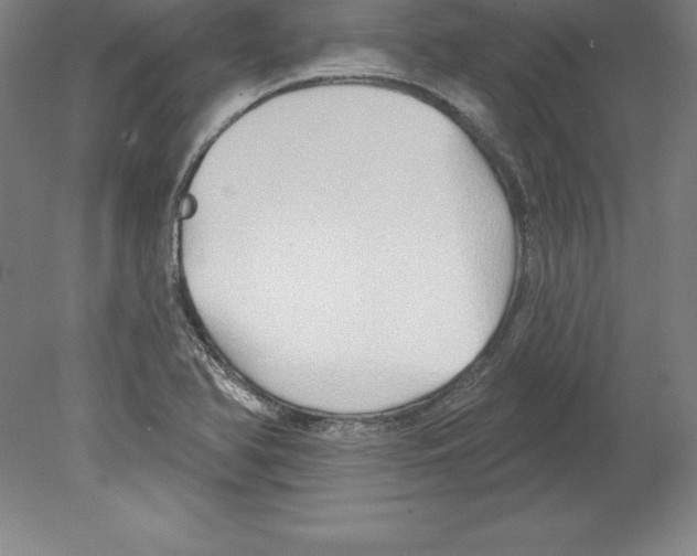 X0000079581366200612301356