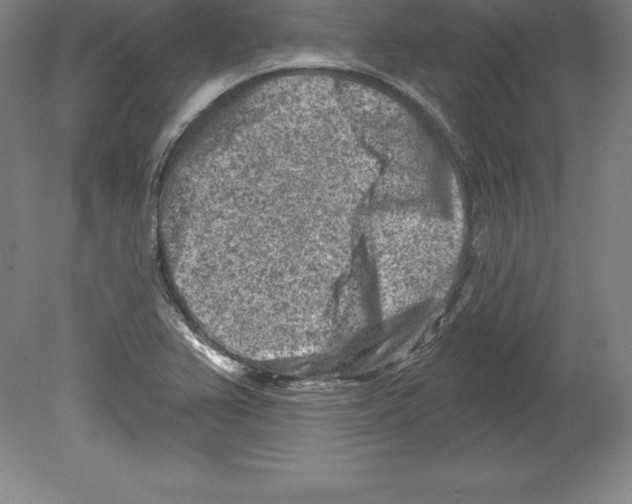 X0000079581367200612301356