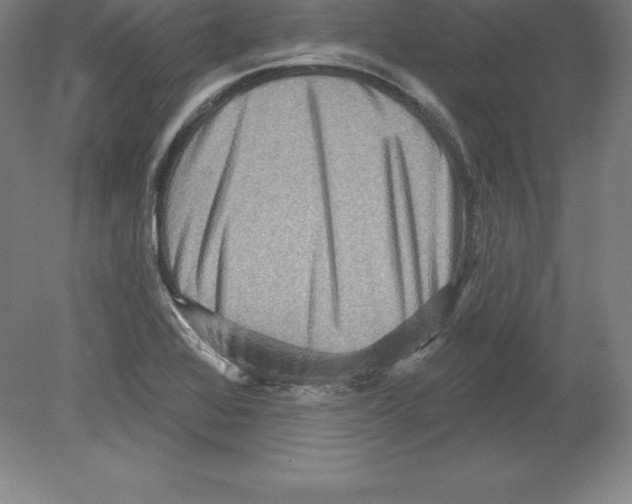 X0000079581368200612301356