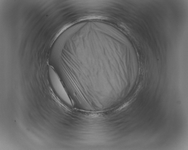 X0000079581369200612301356