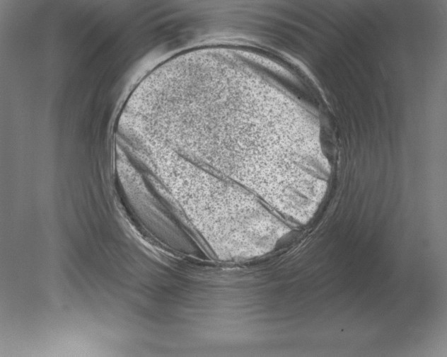 X0000079581371200612301356