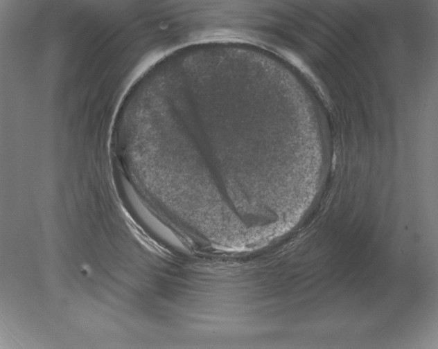 X0000079581372200612301356