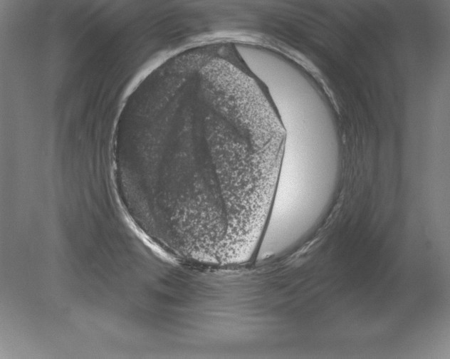 X0000079581373200612301356