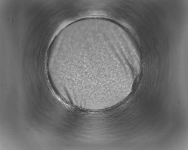 X0000079581374200612301356