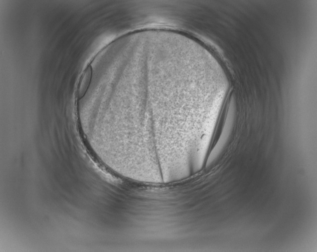 X0000079581375200612301356