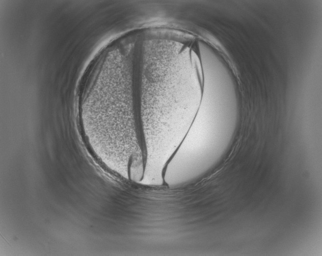 X0000079581376200612301355