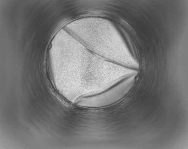 X0000079581378200612301355