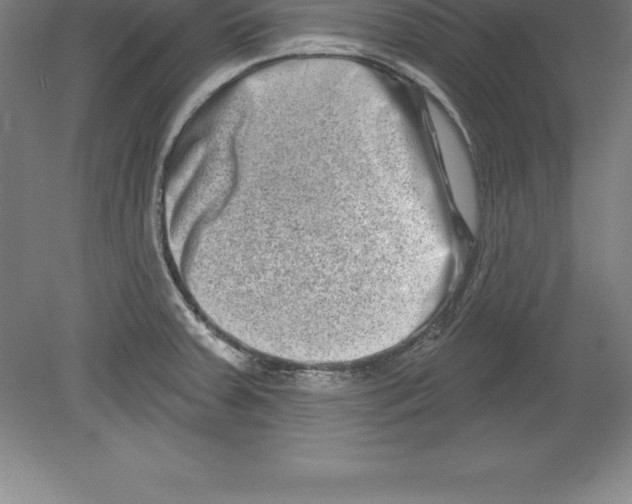 X0000079581379200612301355