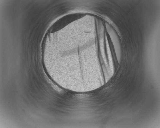 X0000079581380200612301355