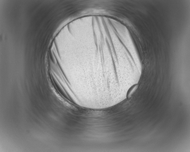 X0000079581382200612301355