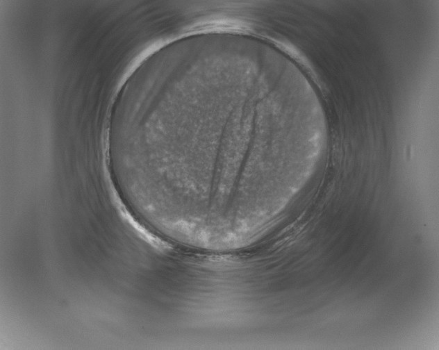 X0000079581383200612301355