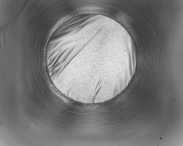 X0000079581386200612301355