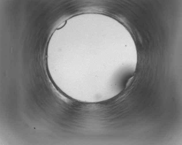 X0000079581387200612301355