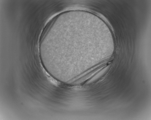 X0000079581388200612301355