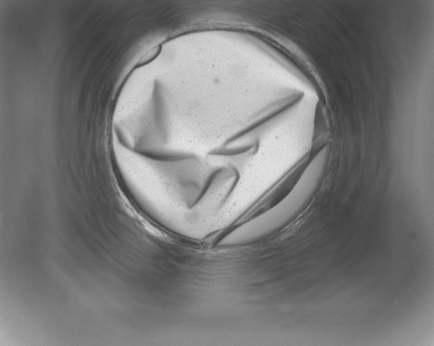 X0000079581390200612301355