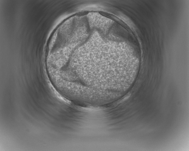 X0000079581392200612301355