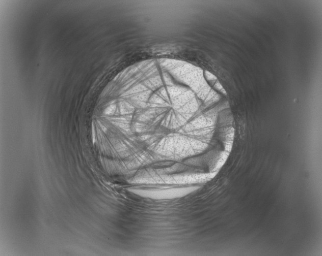 X0000079581393200612301354