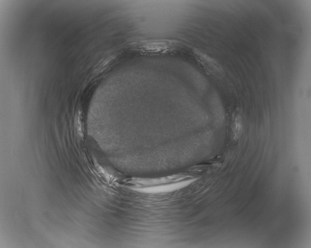 X0000079581394200612301354