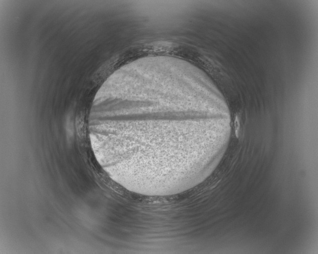 X0000079581395200612301354