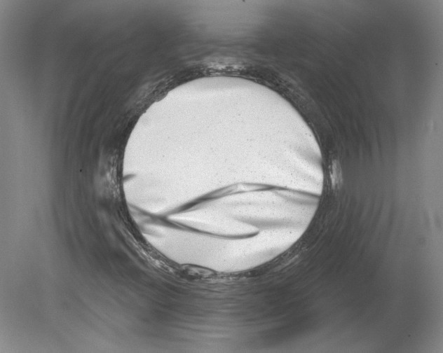 X0000079581396200612301354