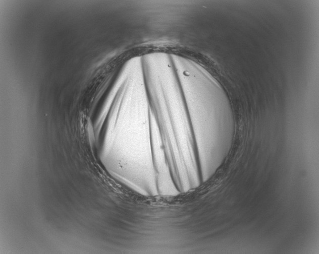 X0000079581398200612301355