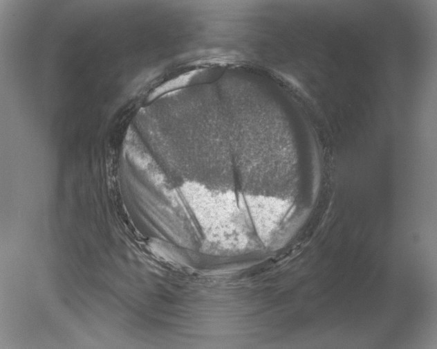 X0000079581399200612301355