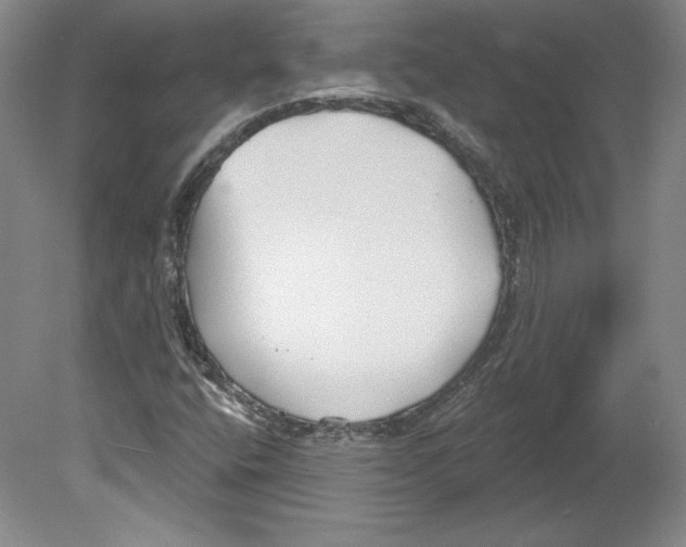 X0000079581400200612301355